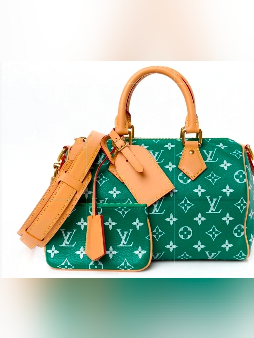 LOUIS VUITTON SPEEDY P9